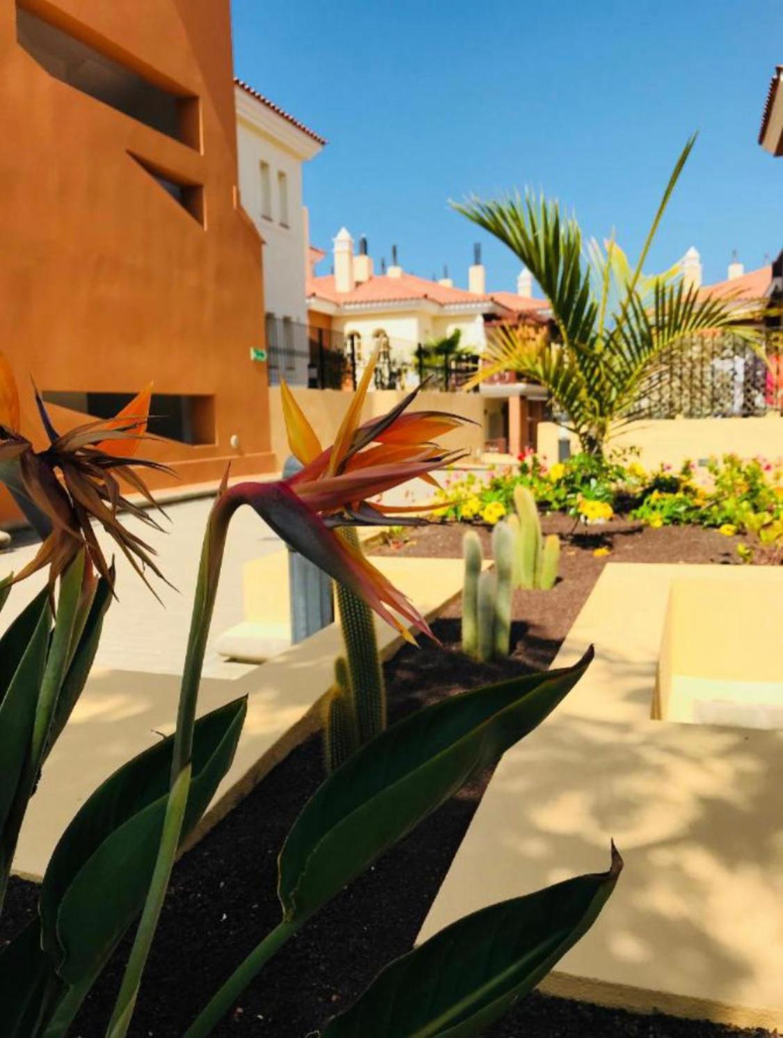 Selena Luxury Monte Carrera Apartment La Playa de Arguineguín Exterior photo